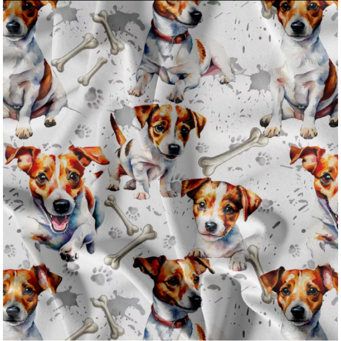 Kočárkovina - JACK russel 